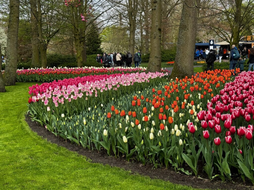 Amsterdam flower garden